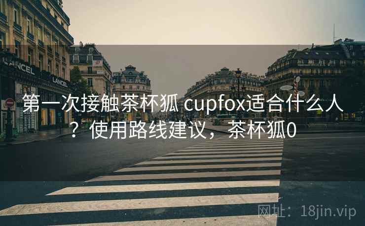 第一次接触茶杯狐 cupfox适合什么人？使用路线建议，茶杯狐0