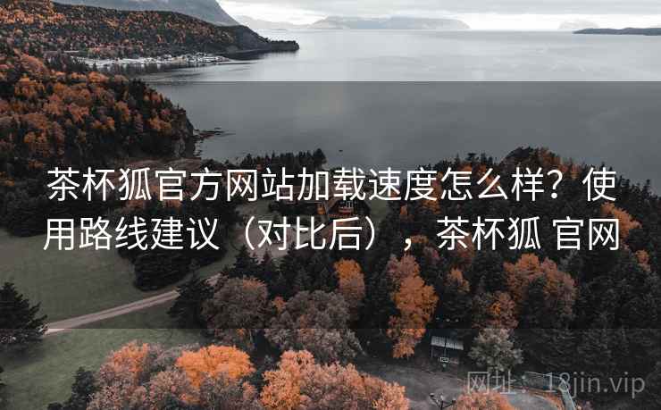 茶杯狐官方网站加载速度怎么样?使用路线建议(对比后),茶杯狐 官网 茶杯狐官方网站加载速度怎么样?使用路线建议(对比后),茶杯狐 官网