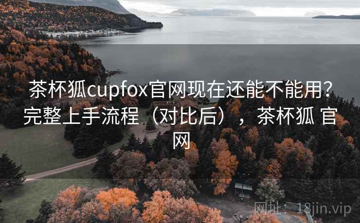茶杯狐cupfox官网现在还能不能用？完整上手流程（对比后），茶杯狐 官网