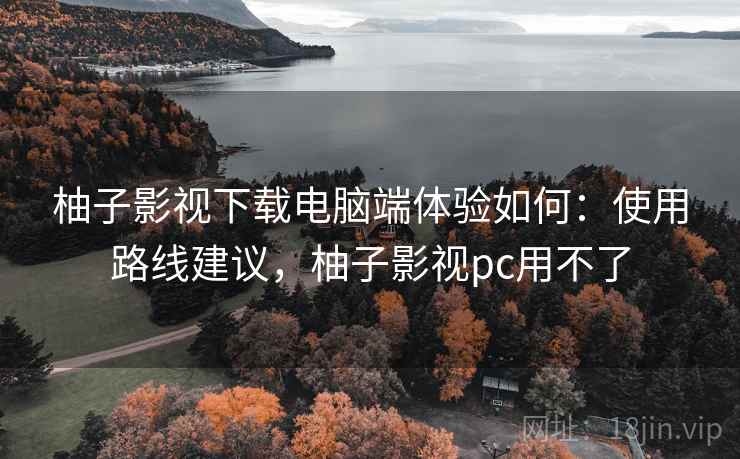 柚子影视下载电脑端体验如何：使用路线建议，柚子影视pc用不了