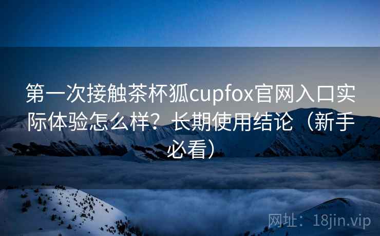 第一次接触茶杯狐cupfox官网入口实际体验怎么样？长期使用结论（新手必看）