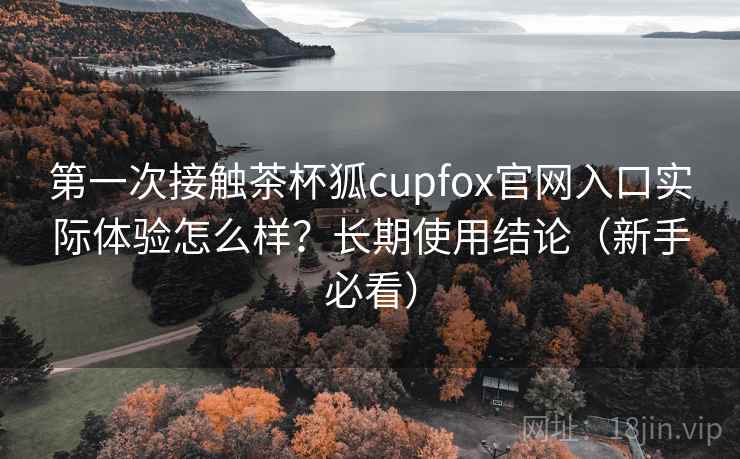 第一次接触茶杯狐cupfox官网入口实际体验怎么样？长期使用结论（新手必看）