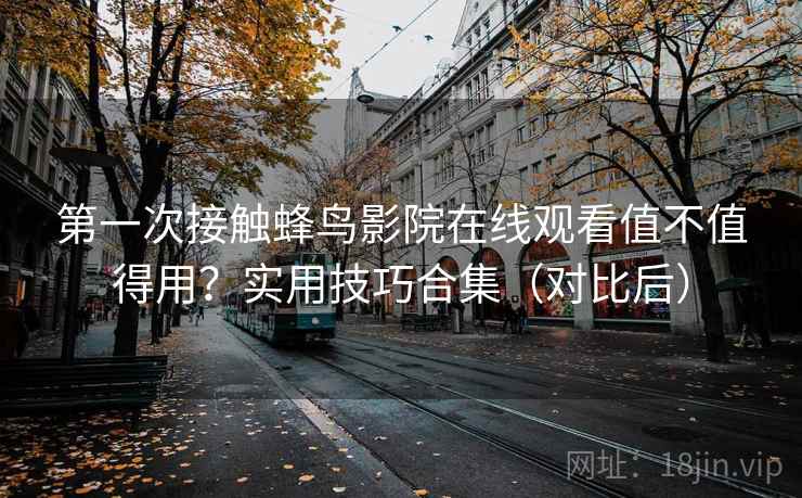 第一次接触蜂鸟影院在线观看值不值得用？实用技巧合集（对比后）