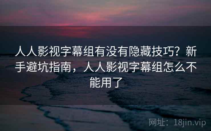 人人影视字幕组有没有隐藏技巧？新手避坑指南，人人影视字幕组怎么不能用了