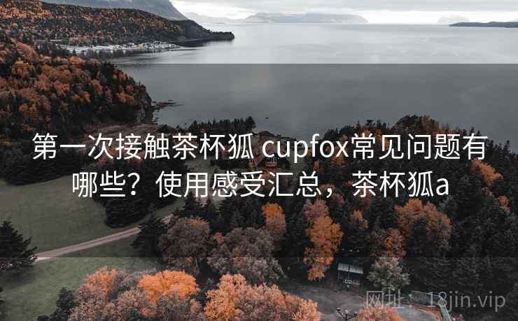 第一次接触茶杯狐 cupfox常见问题有哪些？使用感受汇总，茶杯狐a