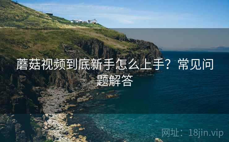 蘑菇视频到底新手怎么上手？常见问题解答
