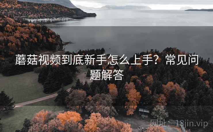 蘑菇视频到底新手怎么上手？常见问题解答